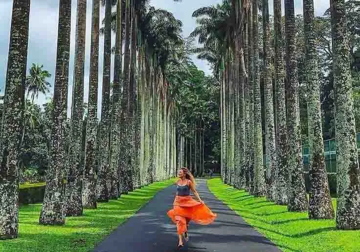 Peradeniya Botanical Garden